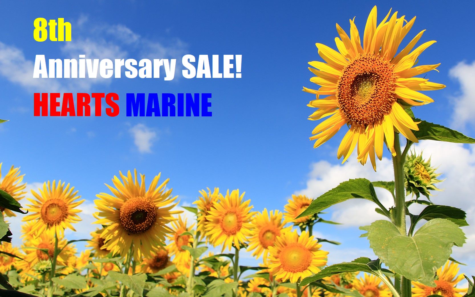 http://www.heartsmarine.com/SALE.jpg