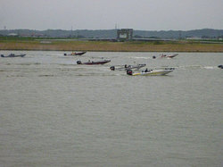 53582169_v1287614536.jpg