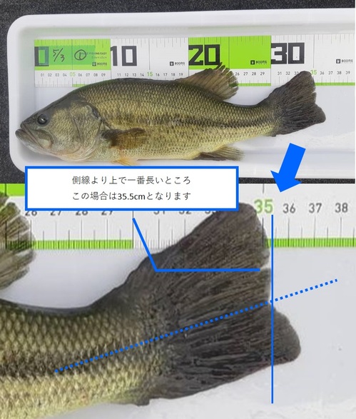 ウエイイン例0514-4.jpg